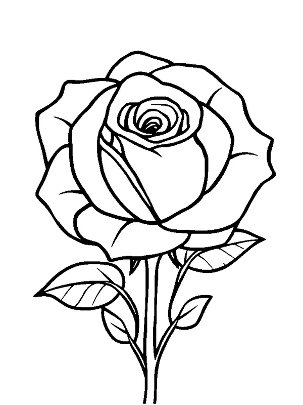 Rose coloring page