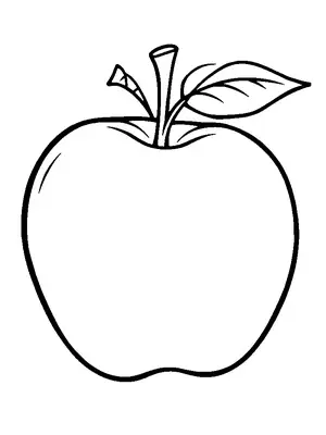 Fruits and Vegetables