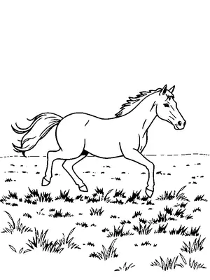 Horses