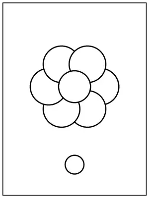 Color A Flower Purple