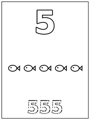 Number 5