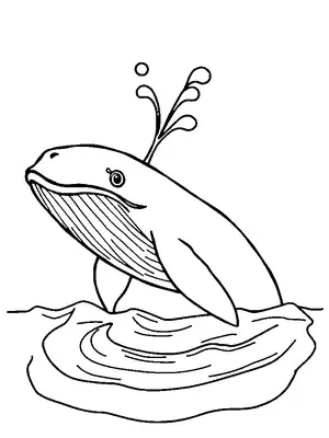 Một con cá voi phun nước