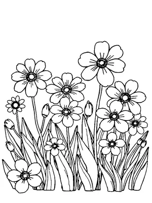 Spring