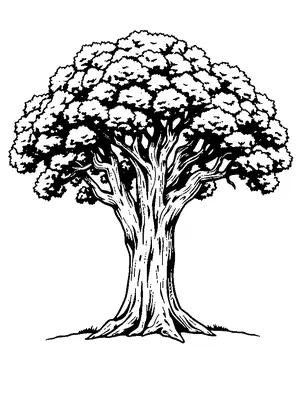 Trees and Forest